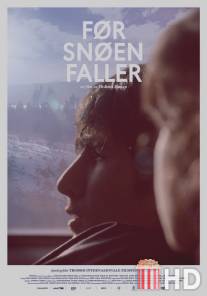 Перед снегопадом / For snoen faller