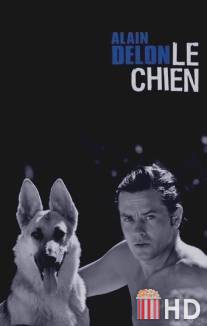 Пес / Le chien