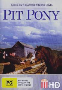 Pit Pony