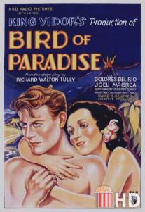 Райская птичка / Bird of Paradise