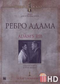 Ребро Адама / Adam's Rib