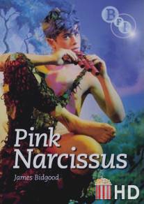 Розовый нарцисс / Pink Narcissus