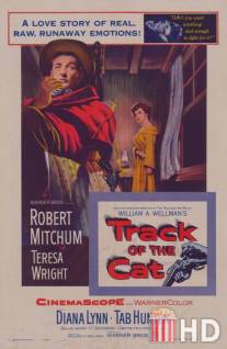 След кота / Track of the Cat