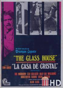Стеклянный дом / Glass House, The