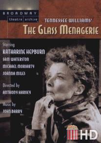 Стеклянный зверинец / Glass Menagerie, The