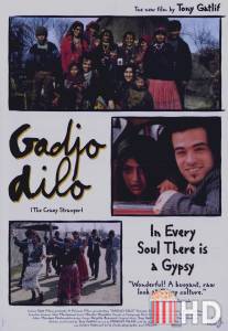 Странный чужак / Gadjo dilo