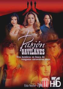 Тайная страсть / Pasion de gavilanes