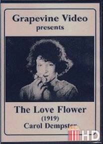 Цветок любви / Love Flower, The