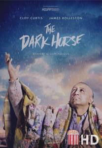 Тёмная лошадка / Dark Horse, The