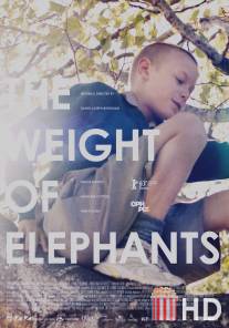 Вес слонов / Weight of Elephants, The