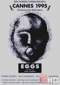 Яйца / Eggs
