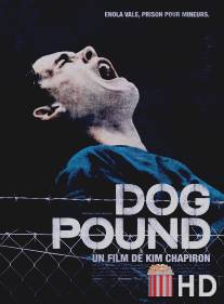 Загон для собак / Dog Pound