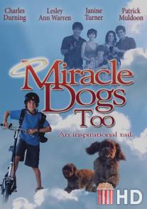Зак и чудо-собаки / Miracle Dogs Too