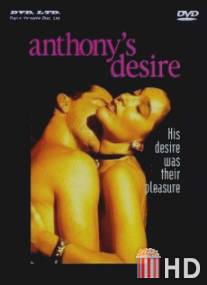 Желание Энтони / Anthony's Desire