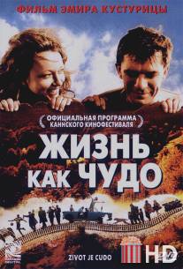 Жизнь как чудо
