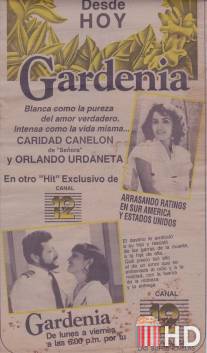 Гардения / Gardenia