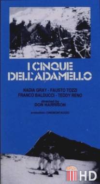 I cinque dell'adamello