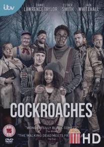 Тараканы / Cockroaches