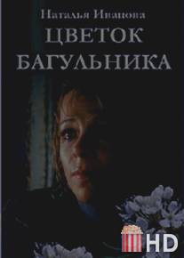 Цветок багульника / Tsvetok bagulnika
