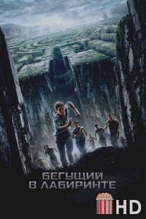 Бегущий в лабиринте / Maze Runner, The