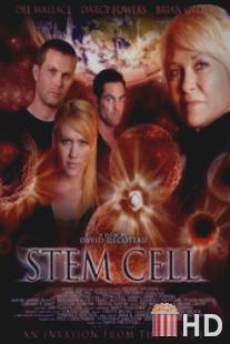 Stem Cell