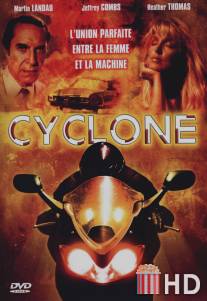 Циклон / Cyclone