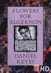 Цветы для Элджернона / Flowers for Algernon