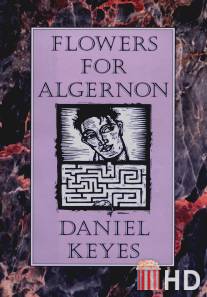 Цветы для Элджернона / Flowers for Algernon