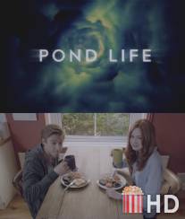 Жизнь Пондов / Pond Life