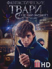 Фантастические звери и места их обитания / Fantastic Beasts and Where to Find Them