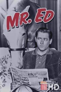 Мистер Эд / Mister Ed