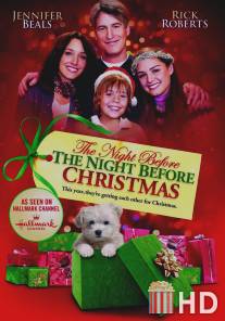 Рождественские приключения семейства Фоксов / Night Before the Night Before Christmas, The