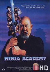 Академия ниндзя / Ninja Academy