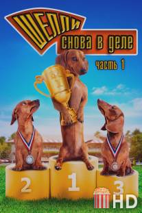 Чемпионат страны среди такс / Wiener Dog Nationals