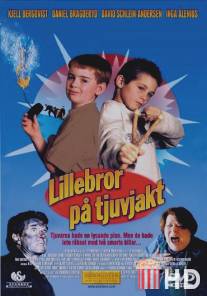 Компания Лиллеброра