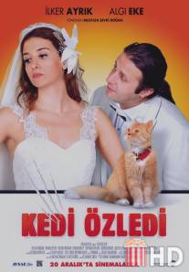 Кошки были пропущены / Kedi Ozledi