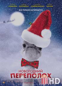 Новогодний переполох / Novogodniy perepolokh