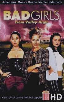 Плохие девчонки из высокой долины / Bad Girls from Valley High