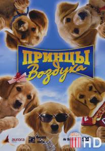 Принцы воздуха / Air Buddies