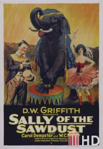 Салли из опилок / Sally of the Sawdust