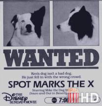 Собачий секрет / Spot Marks the X