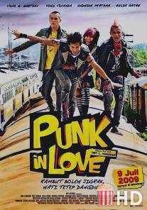 Влюбленный панк / Punk in Love