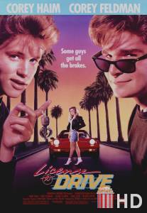 Водительские права / License to Drive