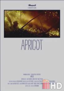 Абрикос / Apricot