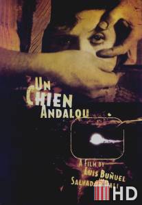 Андалузский пес / Un chien andalou