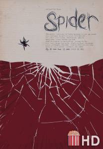 Паук / Spider