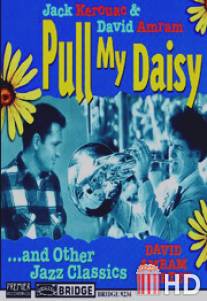 Погадай на ромашке / Pull My Daisy