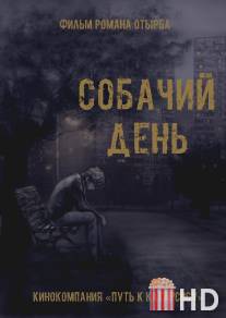 Собачий день