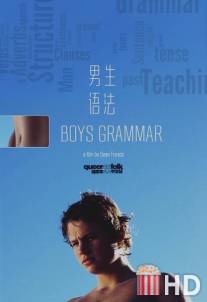 Старшеклассники / Boys Grammar