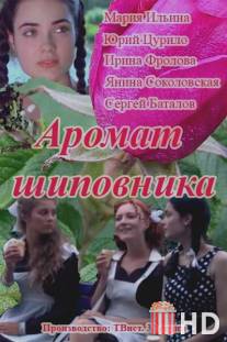 Аромат шиповника / Aromat shipovnika